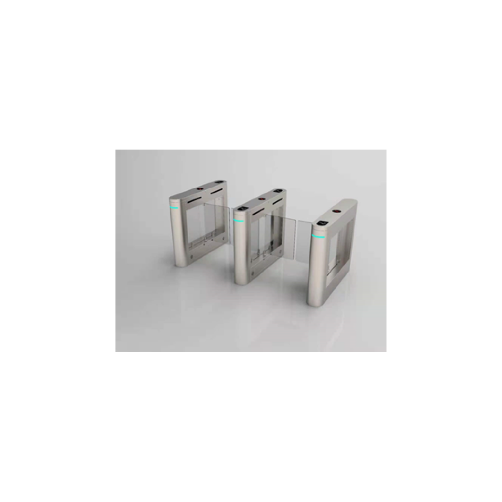 無刷防撞擺閘雙機(jī)芯DSK-607-S