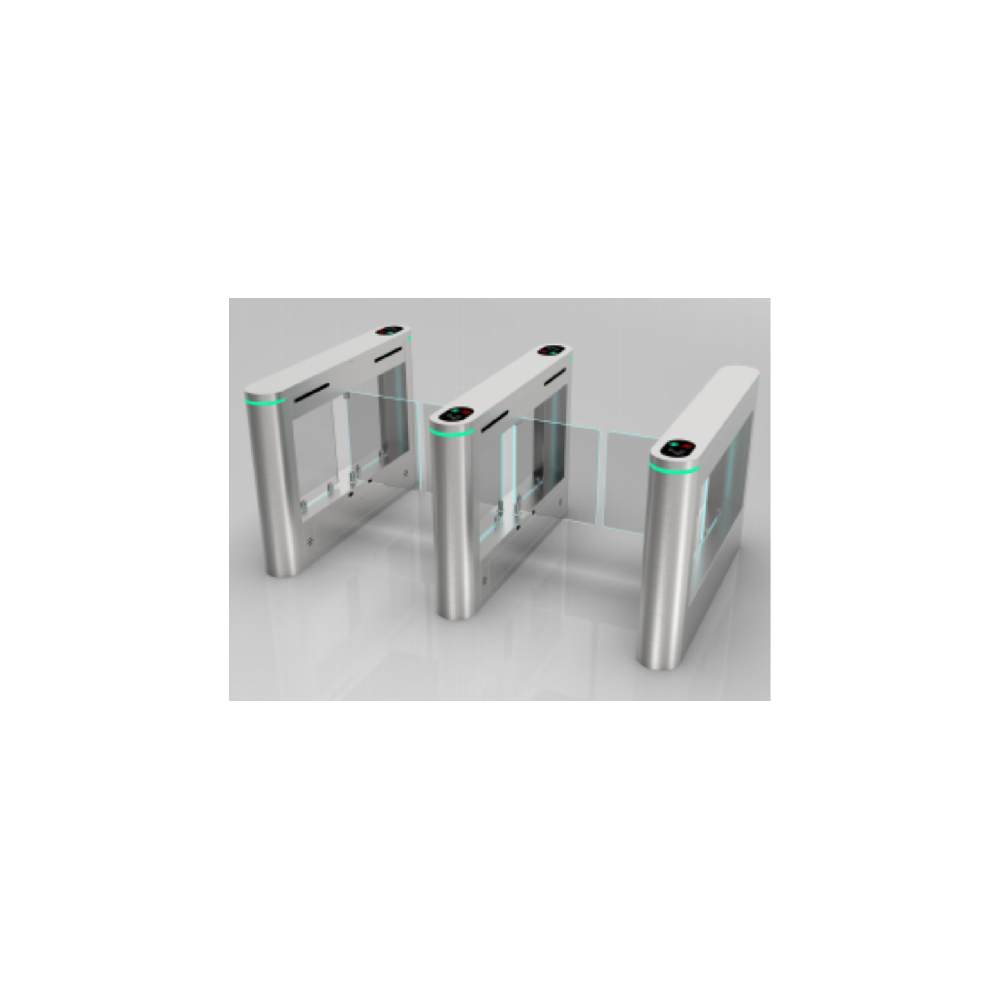 無刷防撞小(xiǎo)擺閘雙機(jī)芯 DSK-610S