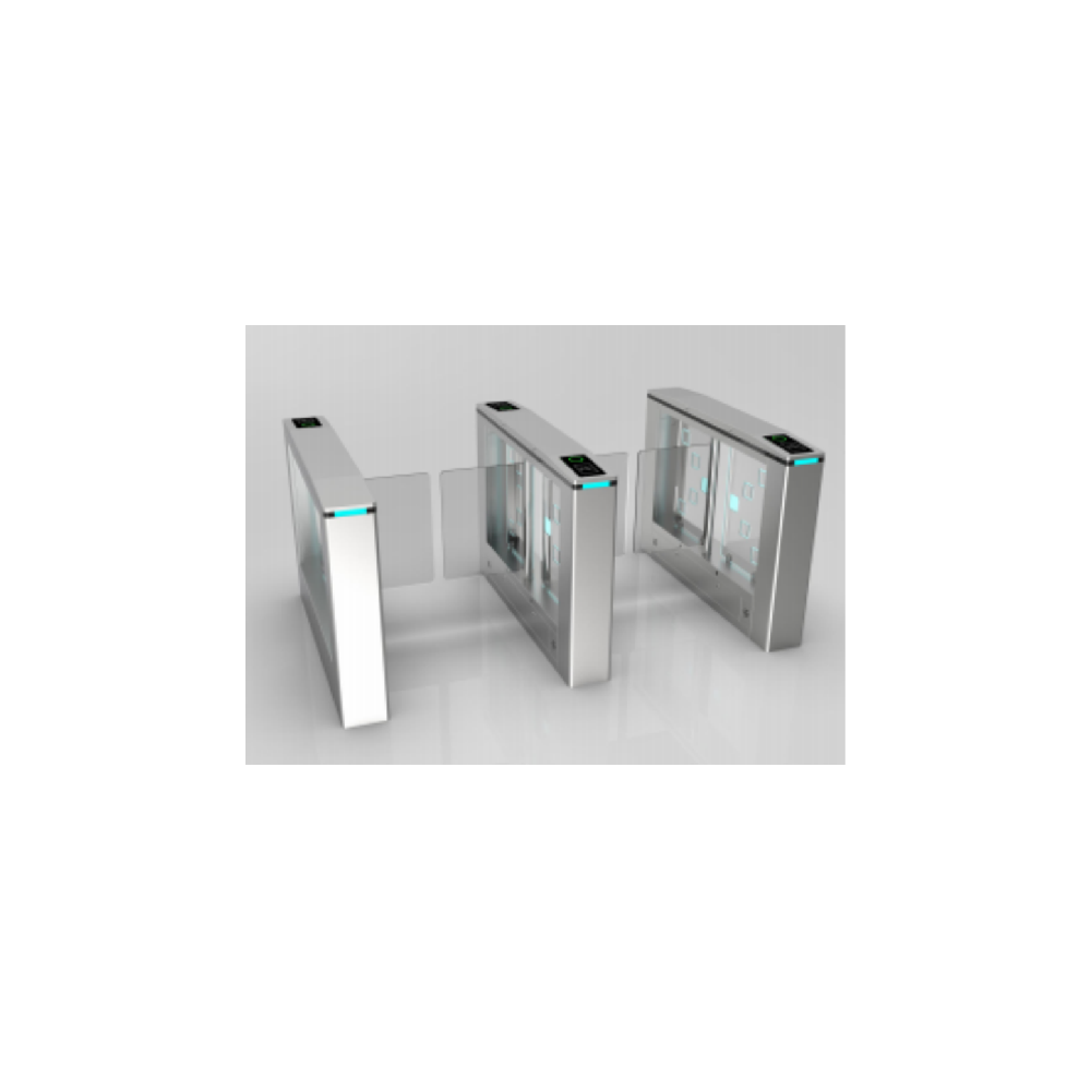 無刷防撞擺閘-雙機(jī)芯 DSK-920S